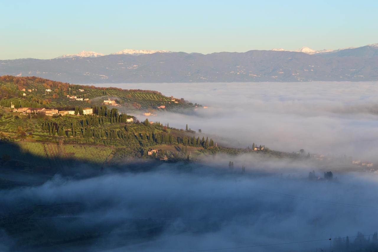 Seano Tenuta Di Capezzana Bed & Breakfast エクステリア 写真