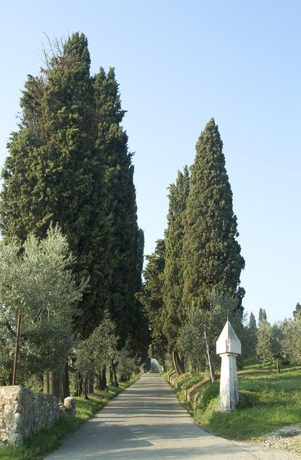 Seano Tenuta Di Capezzana Bed & Breakfast エクステリア 写真