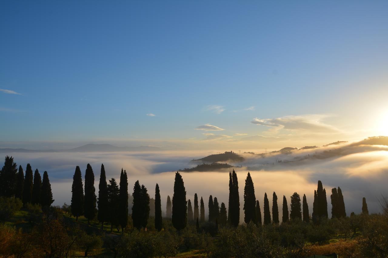 Seano Tenuta Di Capezzana Bed & Breakfast エクステリア 写真